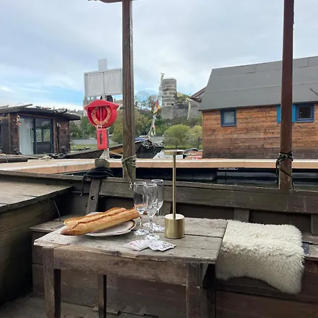 Bateau Traditionnel De Loire Face Au Chateau D'angers Πλωτό κατάλυμα Ανζέρ