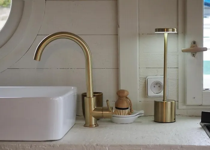 Bateau Traditionnel De Loire Face Au Château D'angers