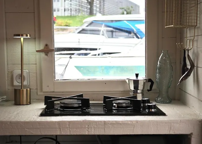 Bateau Traditionnel De Loire Face Au Chateau D'angers Botel *